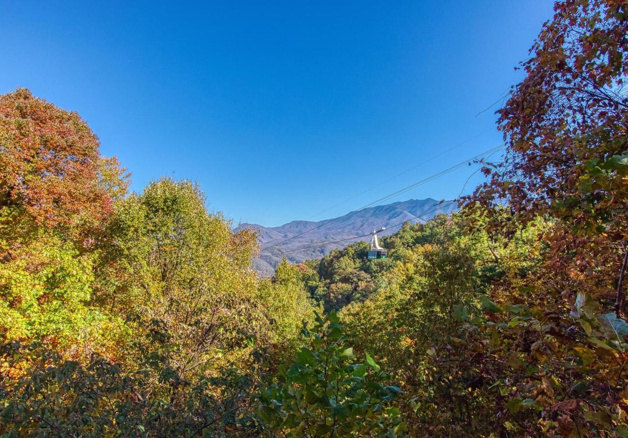 Daya, Hot Tub, Pool Table, 1089 Of Free Attraction Tickets For Each Paid Day, Dollywood And More! ガトリンバーグ エクステリア 写真